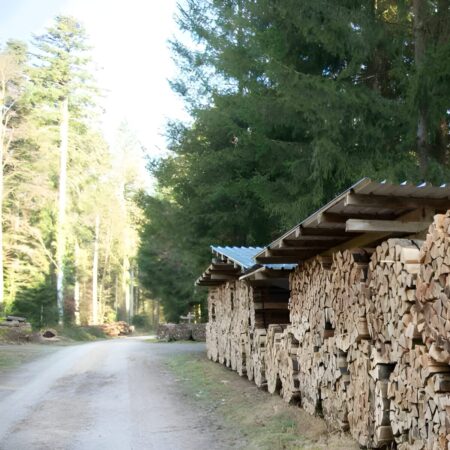 Buchenbrennholz trocken